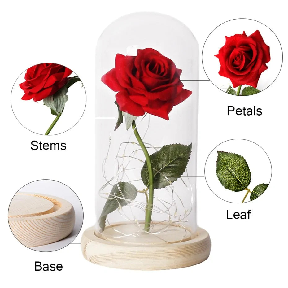 Beauty And The Beast Rose Rose In LED Glass