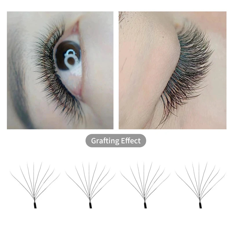 winky beauty 3D/4D/5D/6D/7D/8D Automatic Flowering W Shape Full Dense Bloom Premade Fans Speed Eyelash Extensions Natural Soft