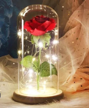 Beauty And The Beast Rose Rose In LED Glass